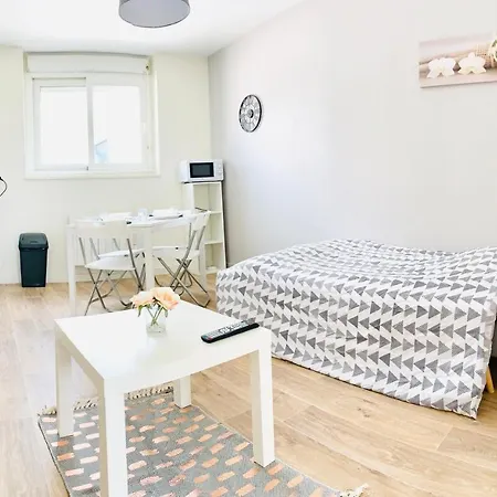 Cosy Tout Confort - Wifi Lejlighed *